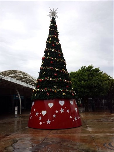Quite a shock to walk out of the Sydney airport and see a Christmas tree. Between time passing so quickly and being in non Christian countries it really surprised me.