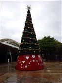 Quite a shock to walk out of the Sydney airport and see a Christmas tree. Between time passing so quickly and being in non Christian countries it really surprised me.: by lipowcan8, Views[441]