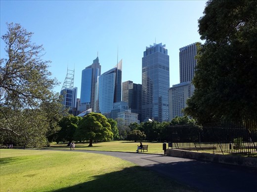 A small portion of the Sydney skyline. The most attractive modern city I have visited.