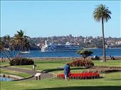 National Botanical Garden adjacent to the opera house. Very nice, lots of trails and views of Sydney harbor
: by lipowcan8, Views[350]