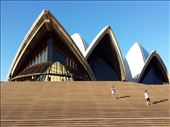 Another picture of the opera house: by lipowcan8, Views[286]