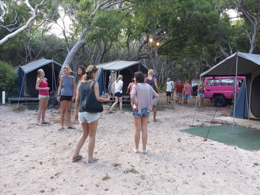 Slept in tents, pretty nice...had beds.