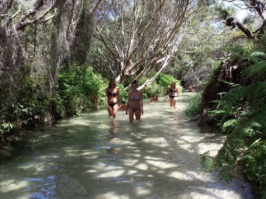 Walked down this stream that flowed  to the ocean. Outstanding scenery.