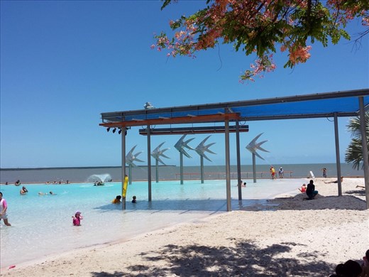 Cairns, they have this nice pool right in town by the waterfront. Great for the kids.