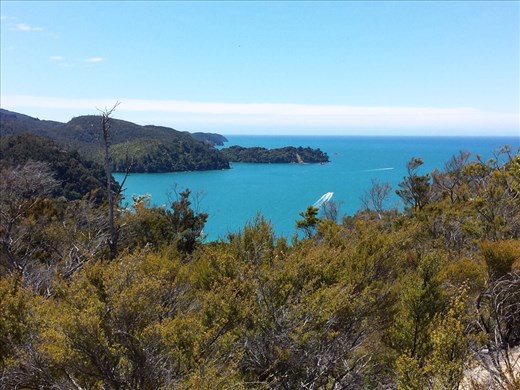 The next few pictures are from Able Tasman Park. Hiked about 17 miles in two and a half days. Beautiful park and trail.