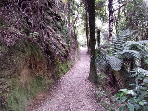 The trail followed the contour of the coastal mountains. There were numerous places along the trail where the drop off was 100 feet or more.
