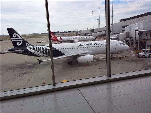 NZ Airlines , basic service, they wanted $3. for a soft drink.flew from Cains Australia to Sydney to Christchurch NZ