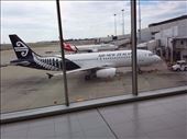 NZ Airlines , basic service, they wanted $3. for a soft drink.flew from Cains Australia to Sydney to Christchurch NZ: by lipowcan8, Views[305]