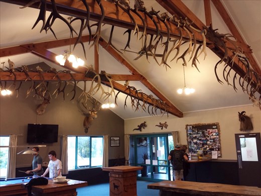 A restaurant in the very small town of Haast. Had a type of fish pancake that's popular in this part of NZ. Quite tasty.