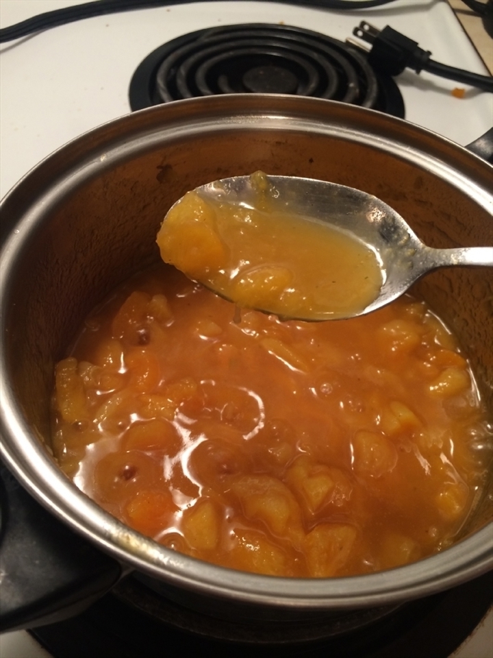 Home made, hot and chunky apricot sauce.