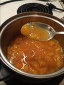 Home made, hot and chunky apricot sauce.: by lisaannelise, Views[303]