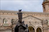 Papal Pigeons: Italians and especially Sicilians are renowned for their dedication to catholocism. This photo was taken while on a hop-on-hop-off tour bus and I nearly missed this shot while whizzing past. I'm not sure which Pope this is and I'm sure he well respected and honoured by many, but to the pigeons, he is merely another concrete statue to frolick on. : by lisag_13, Views[503]