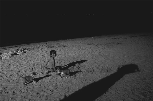 Kid and puppies, playing late at night after a scorching hot day