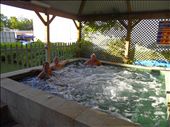Escaping the heat!: by lisaj72, Views[279]