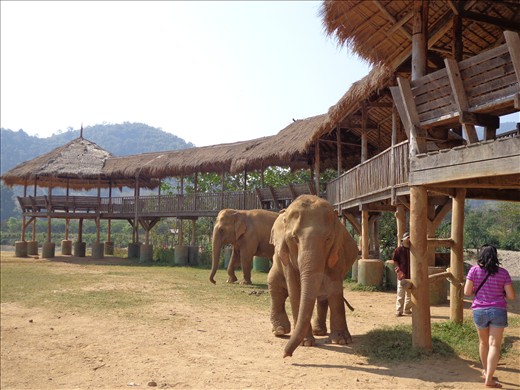 Arriving at the park