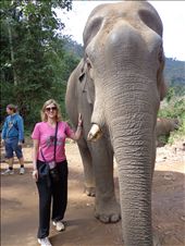 by lisaj72, Views[175]