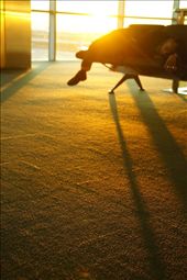 by little_annie_traveler, Views[333]