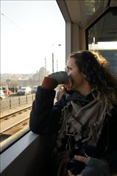 by little_annie_traveler, Views[339]