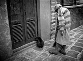 An old woman feeding a homeless cat in Palermo. Sicily gives a shelter for many people and  homeless animals that fight for survival together everyday: by littlen, Views[2436]