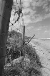 Sometimes it feels like we are a million miles away from home.....: by littlenan, Views[323]