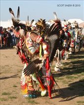 by littlesnow, Views[111]