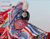 by littlesnow, Views[107]