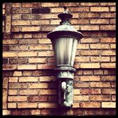 by littlesnow, Views[120]