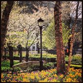 by littlesnow, Views[158]