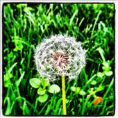 by littlesnow, Views[135]