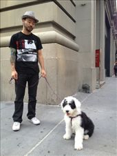 by littlesnow, Views[167]