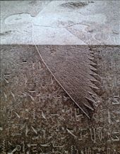 by littlesnow, Views[240]