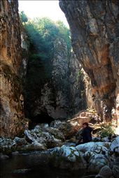 by littlestthings, Views[131]