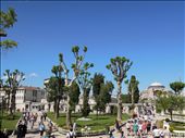 The view of Hagia Sophia (Ayasofya) from Blue Mosque.: by live-to-travel, Views[361]