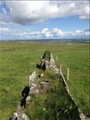 Failte (welcome)!  

This is a trail on the backside of the Cliffs of Moher.: by liveitup123, Views[360]