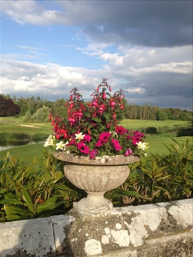 Luscious Adare Golf course 