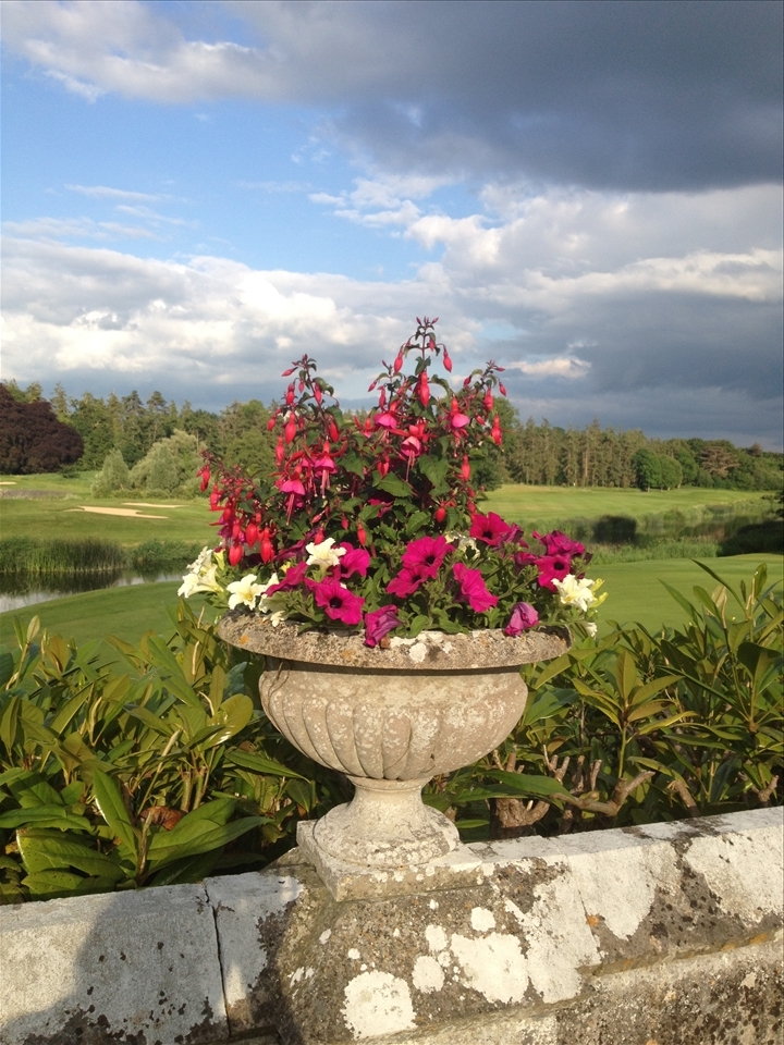 Luscious Adare Golf course 
