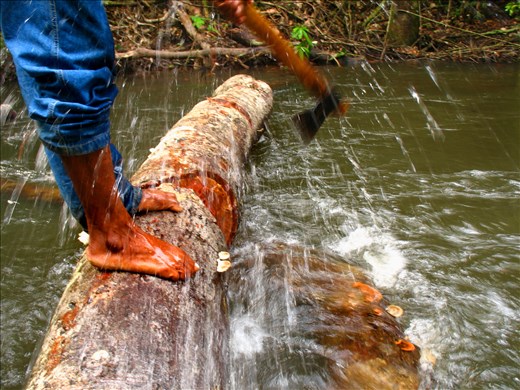 Hunter try to remove a log to open his way on the river. Jacareacanga. Brazil.