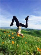 by livepeace, Views[107]