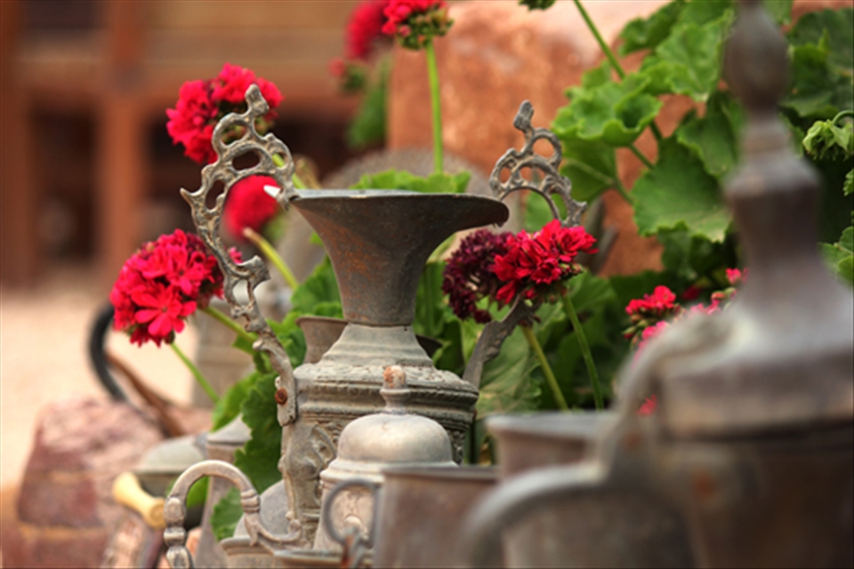 'Antics' sold in Petra