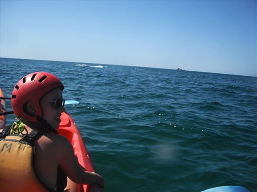 Kayaking with whales in Byron Bay, what an experience!