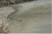A child in the dirty and dangerous stream during the flooding Monsoon season: by living_in_the_past, Views[453]