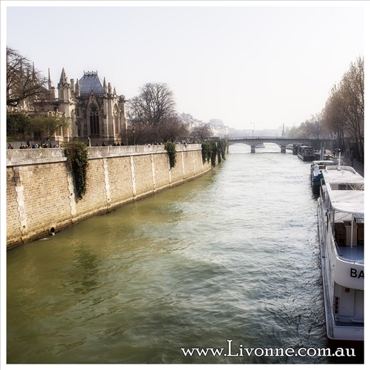The Seine River