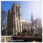 Notre Dame Cathedral: by livonne, Views[465]