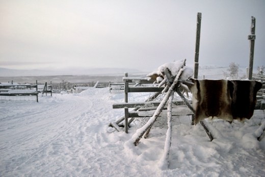 The Sami people are the indigenous people from Lapland. In Sweden only the Sami people can own Reindeer, which they use for food, clothing, trade and labour. They are really resourceful and in the past even used the Reindeer’s intestines as a form of thread to sew with.