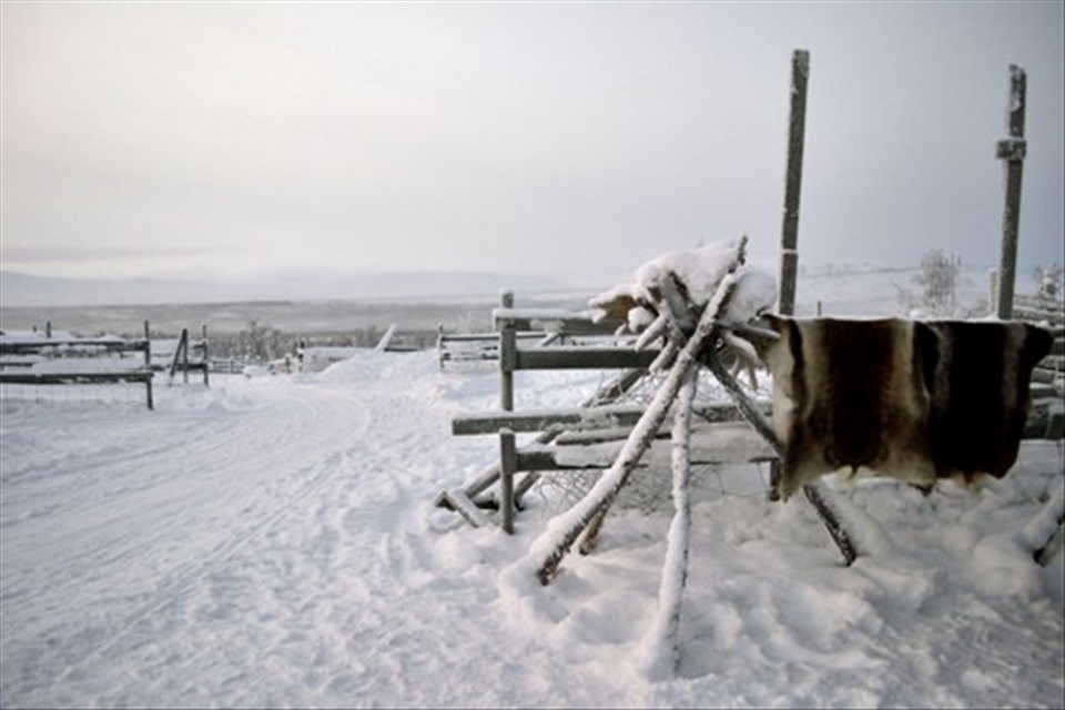 The Sami people are the indigenous people from Lapland. In Sweden only the Sami people can own Reindeer, which they use for food, clothing, trade and labour. They are really resourceful and in the past even used the Reindeer’s intestines as a form of thread to sew with.