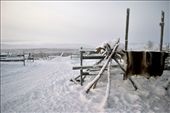 The Sami people are the indigenous people from Lapland. In Sweden only the Sami people can own Reindeer, which they use for food, clothing, trade and labour. They are really resourceful and in the past even used the Reindeer’s intestines as a form of thread to sew with.: by livvy, Views[1406]