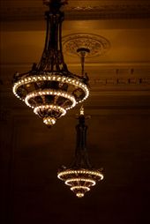 by lizdonn, Views[122]