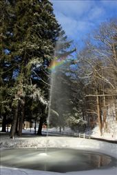 by lizdonn, Views[116]