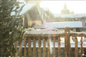 by lizdonn, Views[169]