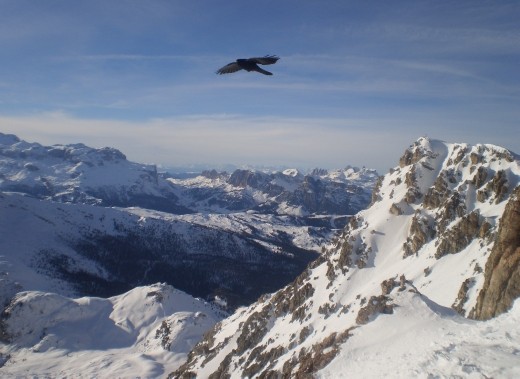 A lone bird soars over the snow capped peaks of the Dolomites at Rifugio Lagazuoi, capturing the feeling of being all alone and on top of the world.